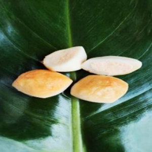 炙燒芝心包